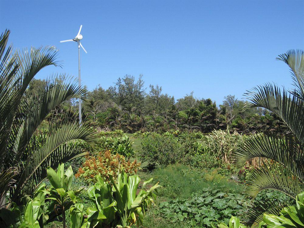 הוילה Kapaau Hawaii Island Retreat At Ahu Pohaku Ho'Omaluhia מראה חיצוני תמונה