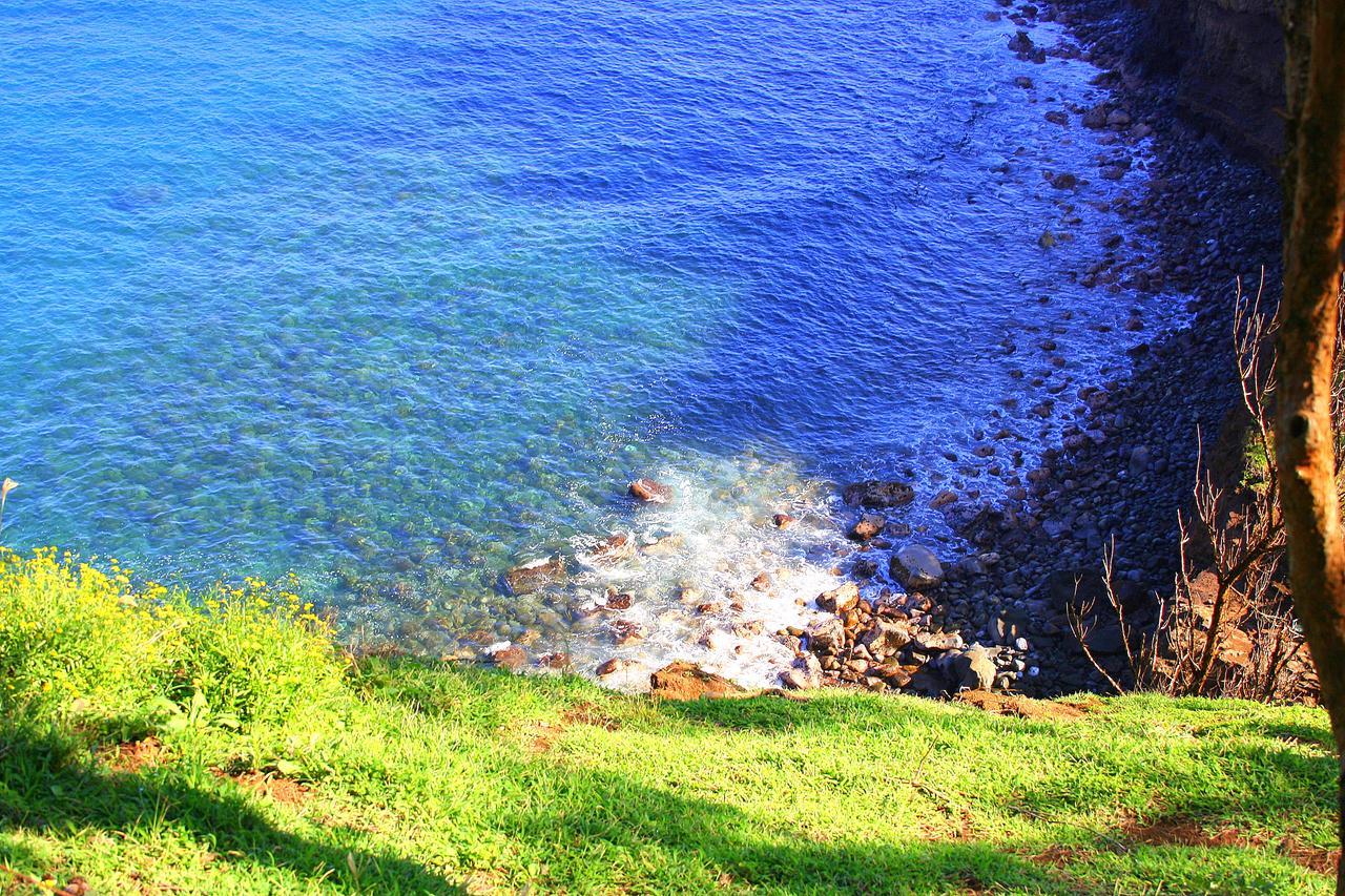 הוילה Kapaau Hawaii Island Retreat At Ahu Pohaku Ho'Omaluhia מראה חיצוני תמונה