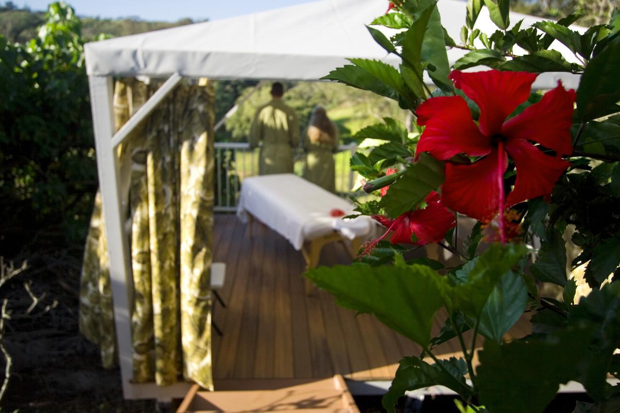 הוילה Kapaau Hawaii Island Retreat At Ahu Pohaku Ho'Omaluhia מראה חיצוני תמונה