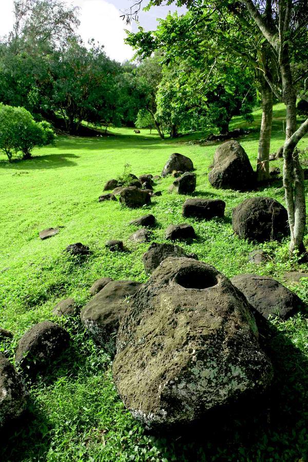 הוילה Kapaau Hawaii Island Retreat At Ahu Pohaku Ho'Omaluhia מראה חיצוני תמונה
